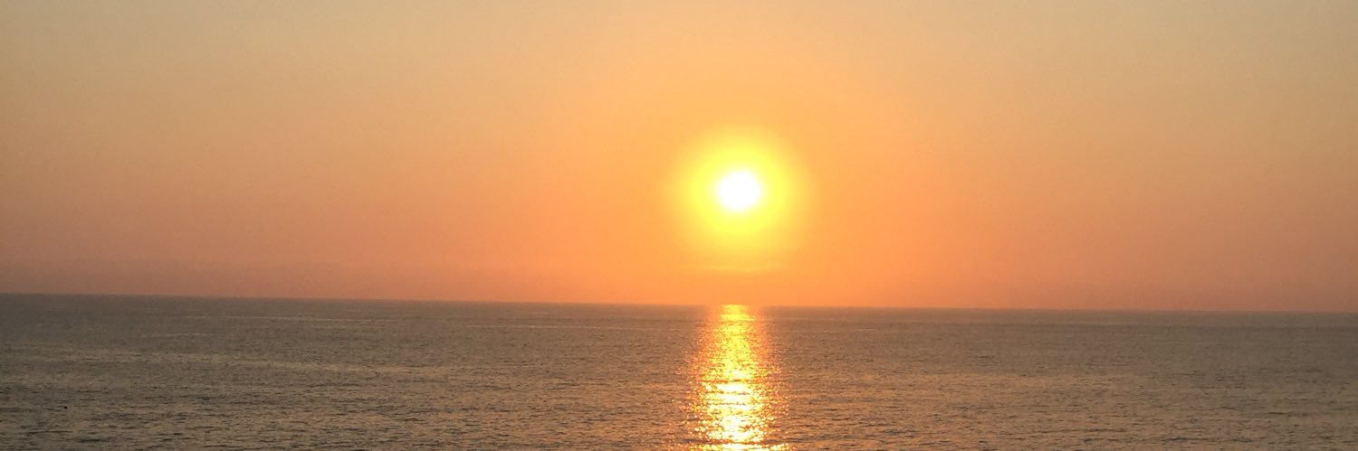 Dinocalei's profile banner image