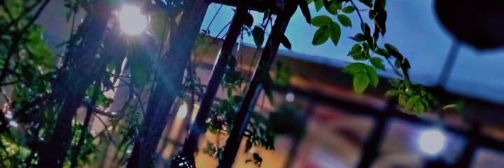Aly_Simba's profile banner image