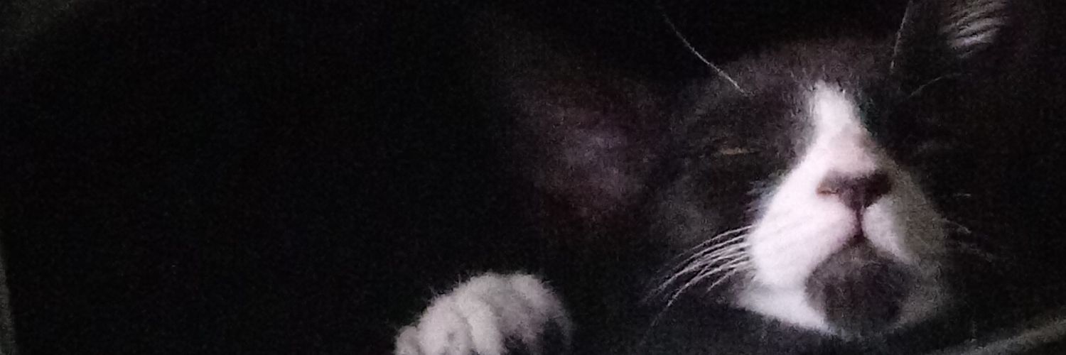 jose_damix's profile banner image