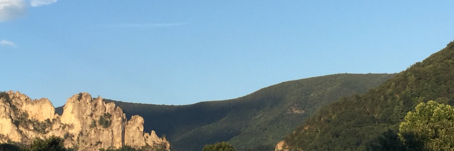 SimsRhyzon's profile banner image