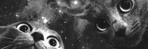 _Waterlemoan_'s profile banner image