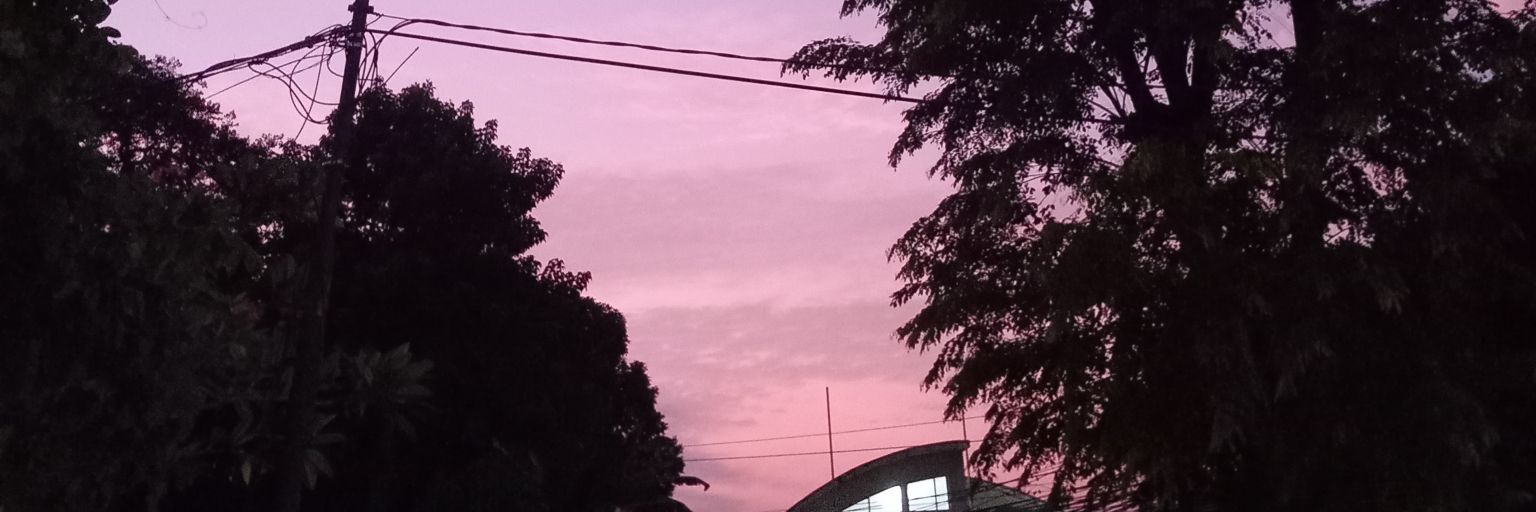 deedeegee_'s profile banner image