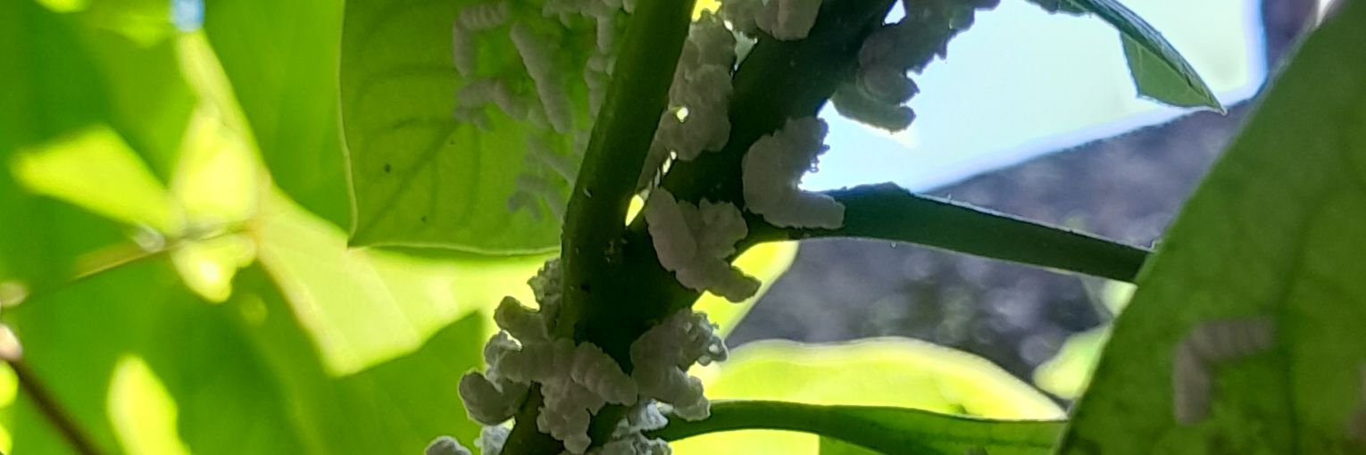 sofi296's profile banner image