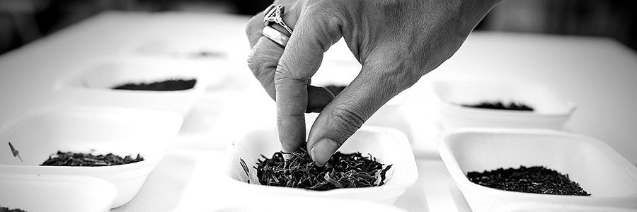UKTeaAcademy's profile banner image
