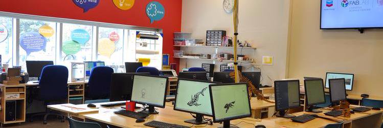 Liz Whitewolf banner