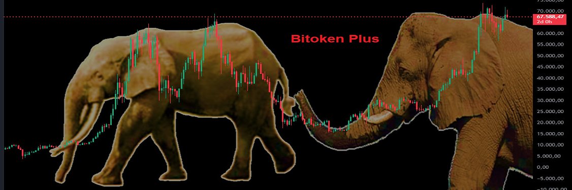 BitokenPlus's profile banner image