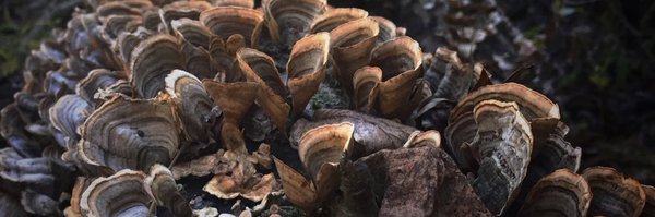 heathoates Profile Banner