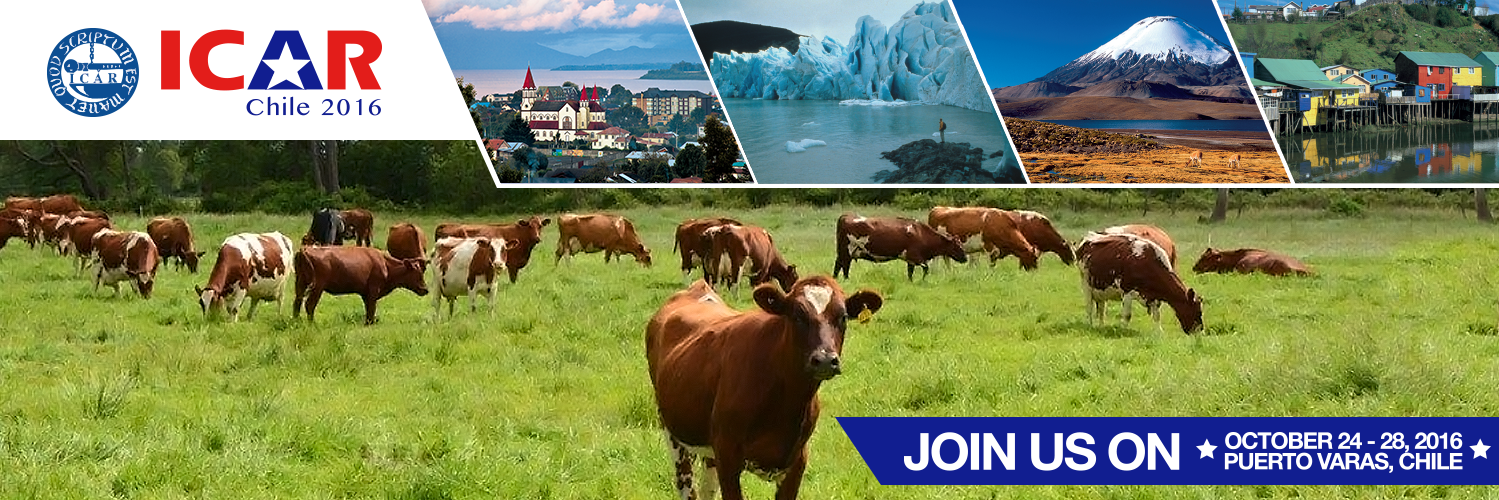 Icar2016's profile banner image