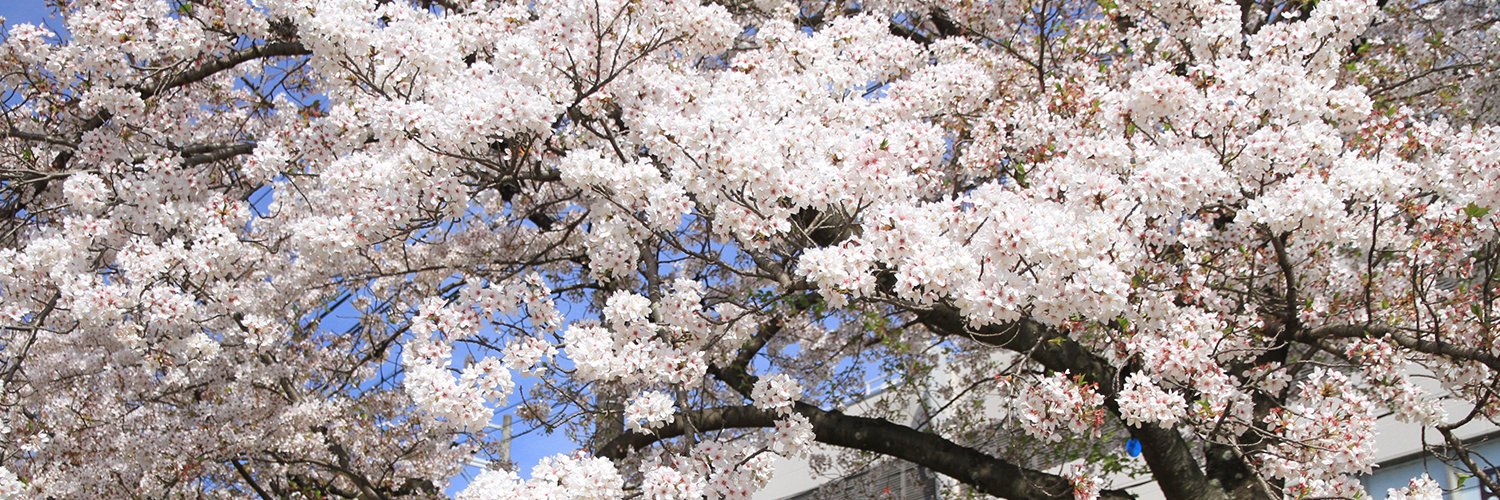 草喰（くさばみ） banner