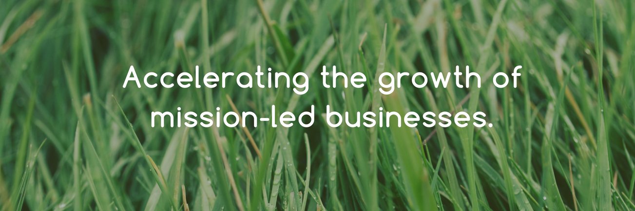 growth4good's profile banner image