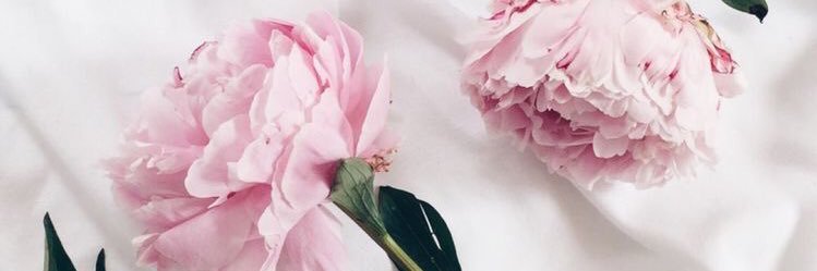 neahduhaney's profile banner image