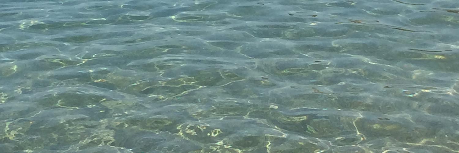 sdraziotis's profile banner image