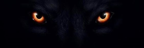 Jamie_t_Expert's profile banner image