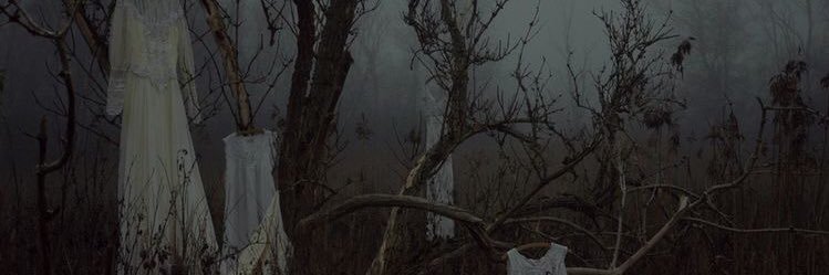 skinniestwitch's profile banner image