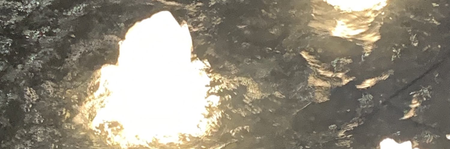Amenim_'s profile banner image