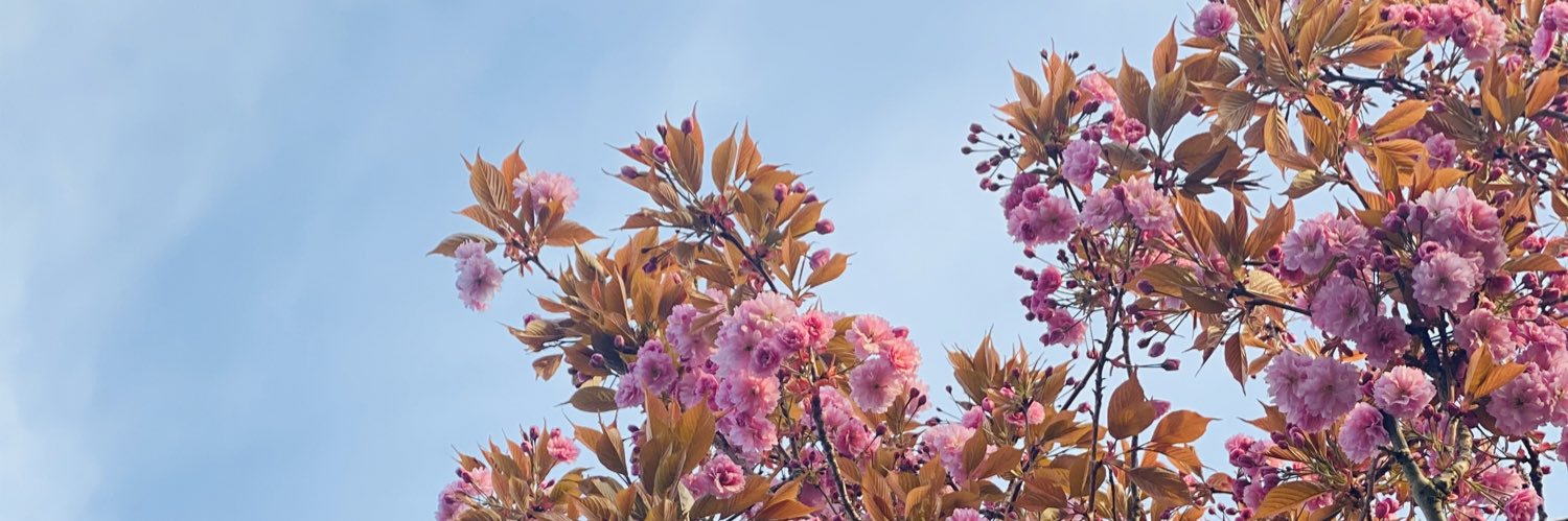 RomarniBrytz's profile banner image