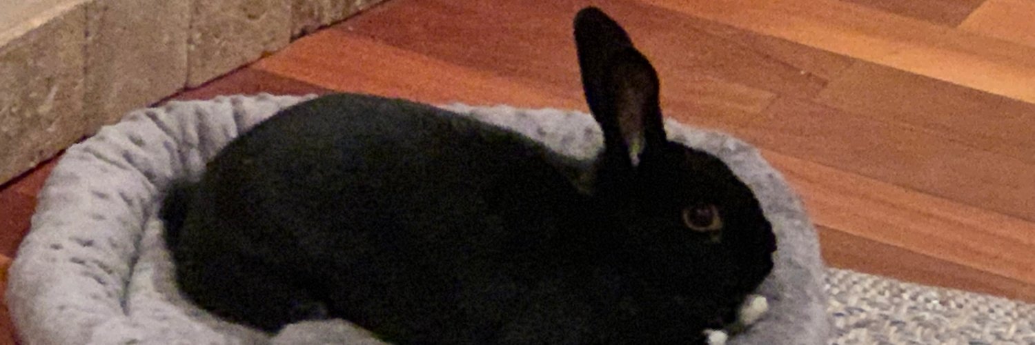 MissBunnyBlog's profile banner image