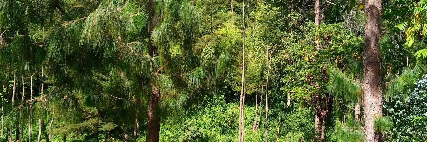 mohndirangu's profile banner image