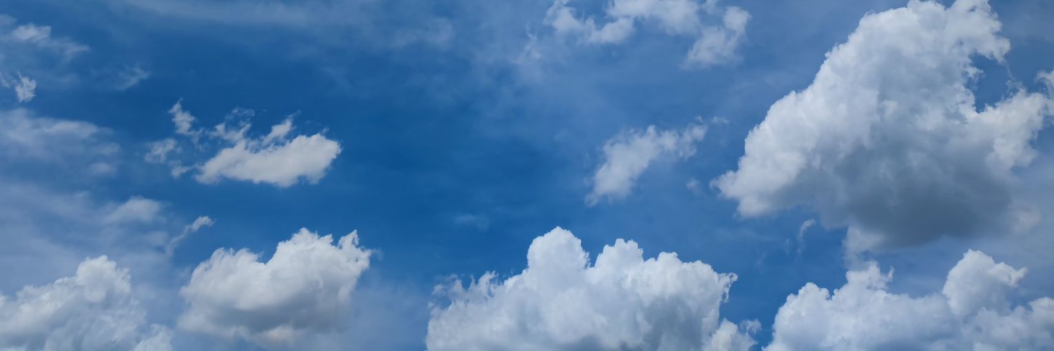 Nathy_Hemmo's profile banner image