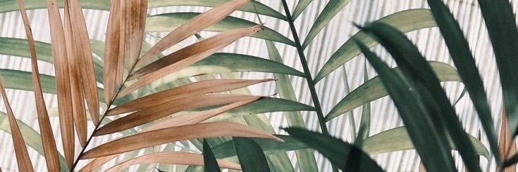 maariaaangelaa's profile banner image