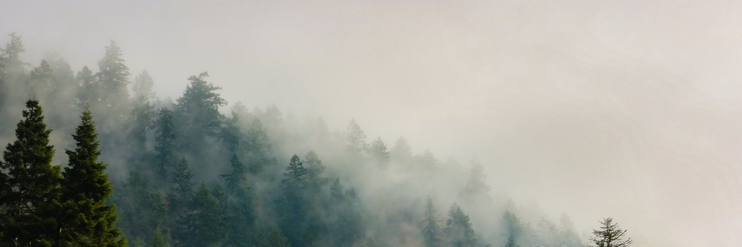 jillianapare's profile banner image