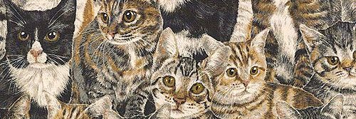 mimafadla's profile banner image