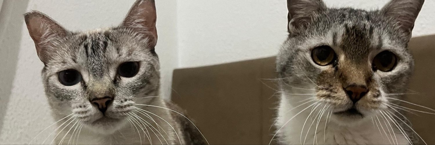 sisssantos's profile banner image