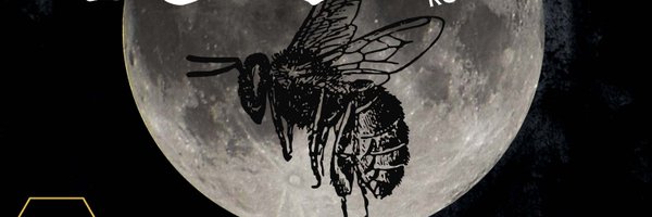 8_night Profile Banner