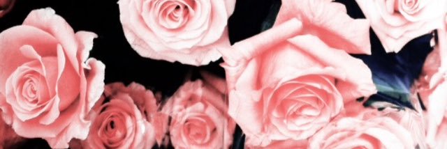 Tea_Drinker101's profile banner image