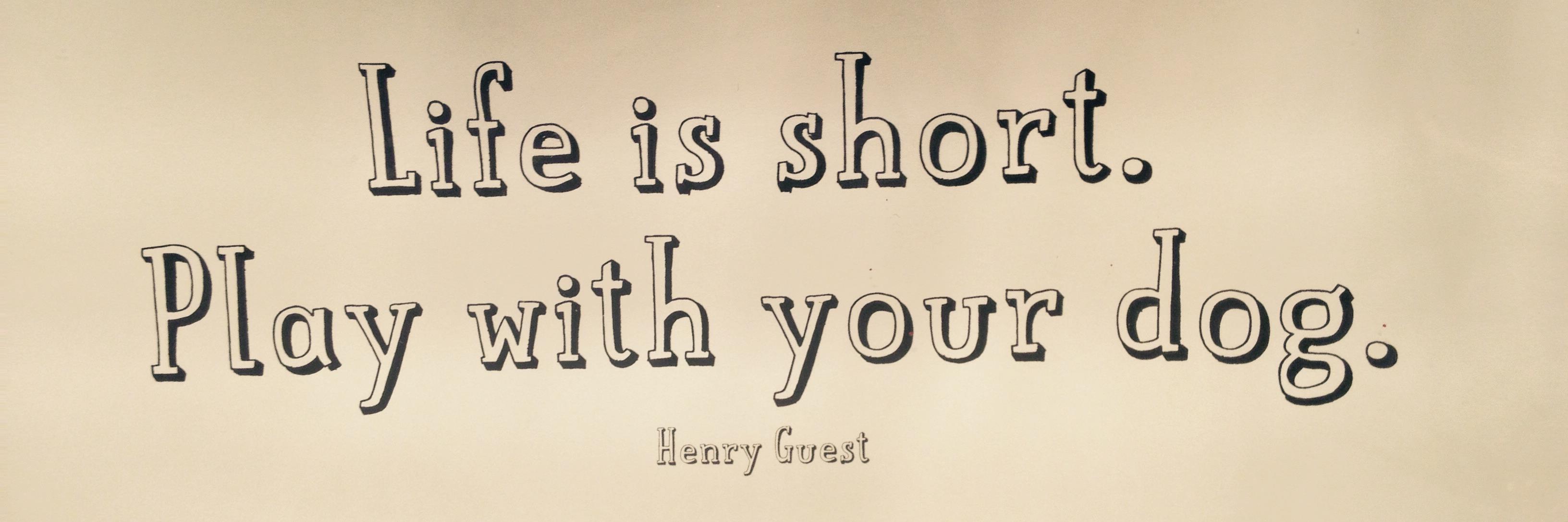 kimbettercareer's profile banner image