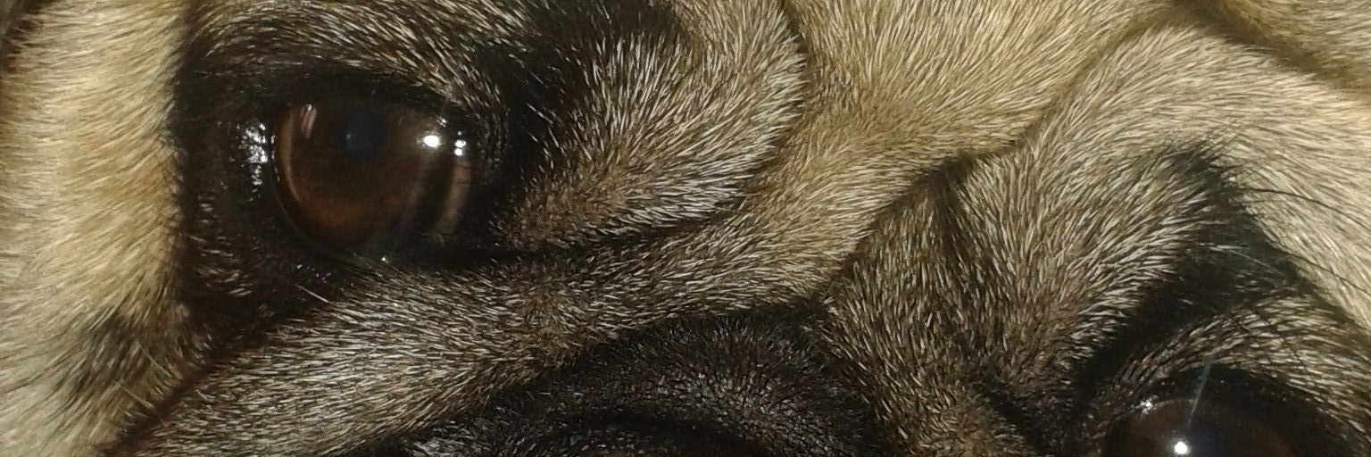 Malgoska__'s profile banner image