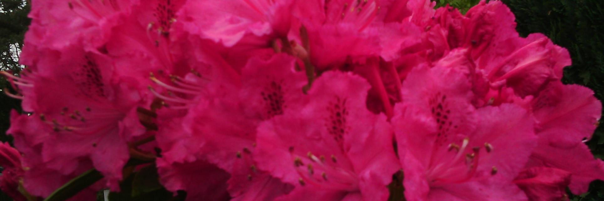 freddymoureau2's profile banner image