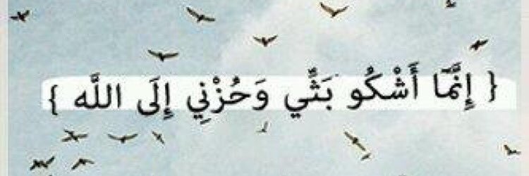 ta__lib's profile banner image