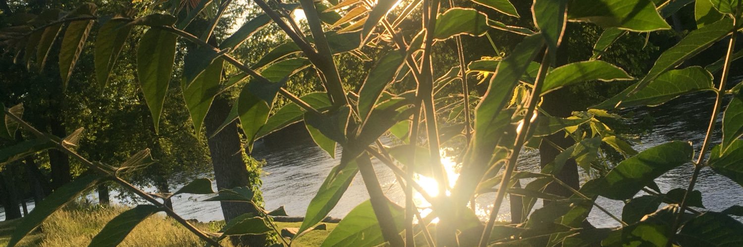 exquisitehoweIl's profile banner image