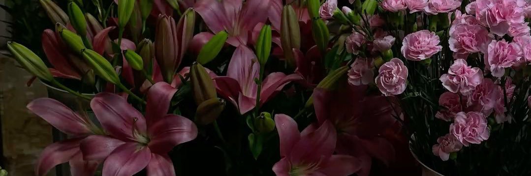 SimgeKarss's profile banner image