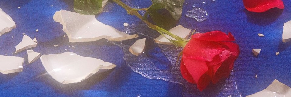boska2244's profile banner image