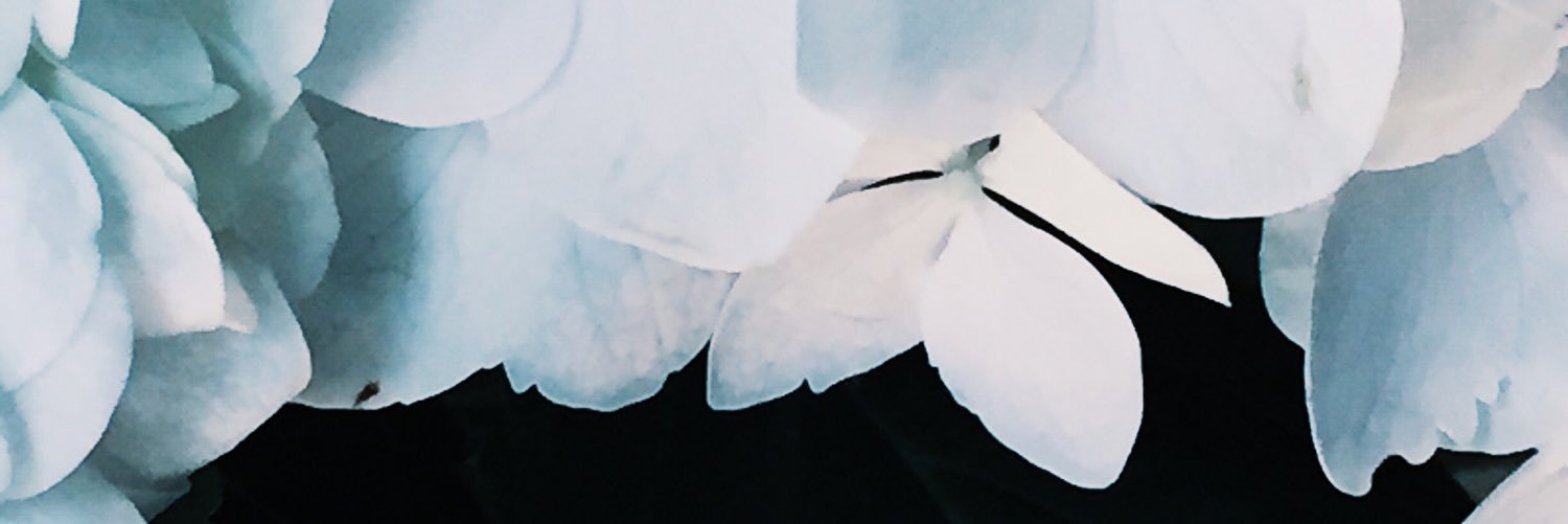 kimmyschram's profile banner image