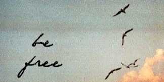 jacklynnmichele's profile banner image