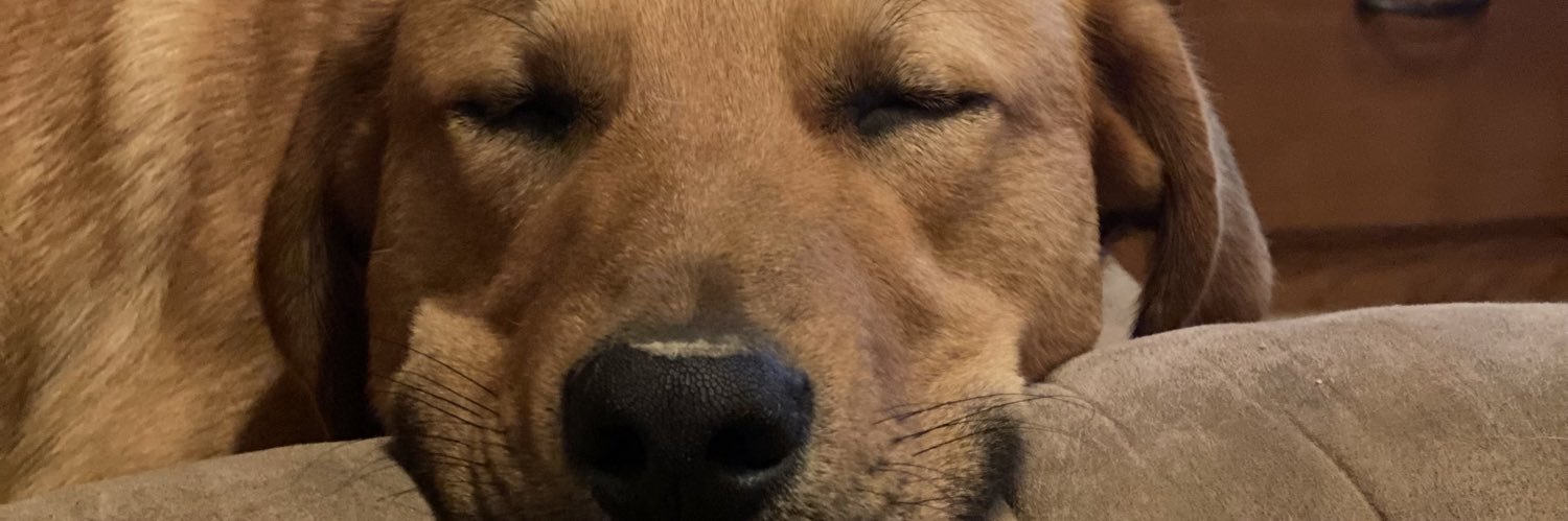 j_felts74's profile banner image