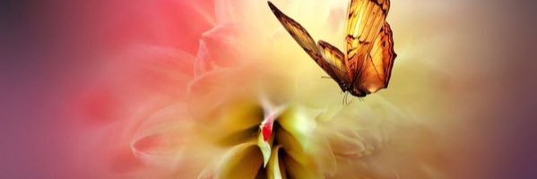YlaaAlas's profile banner image