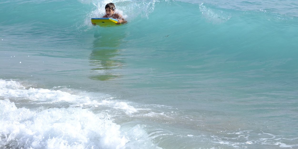 Karina Perticone banner