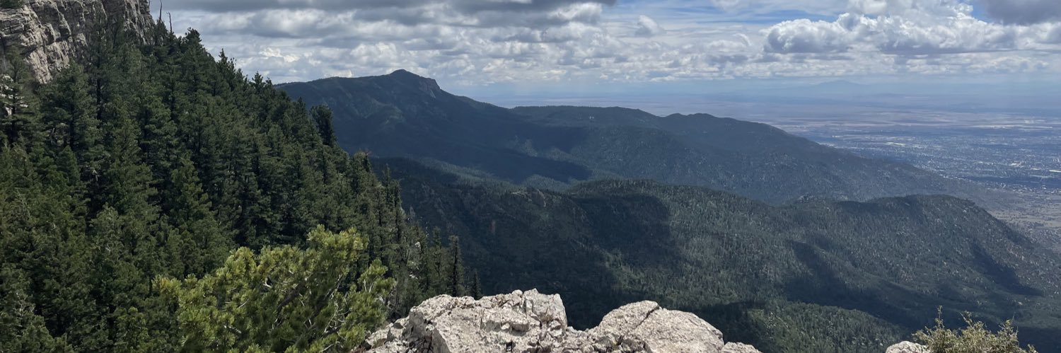 Sarah ES Jeney, MD banner