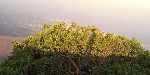 bkkothari2255's profile banner image