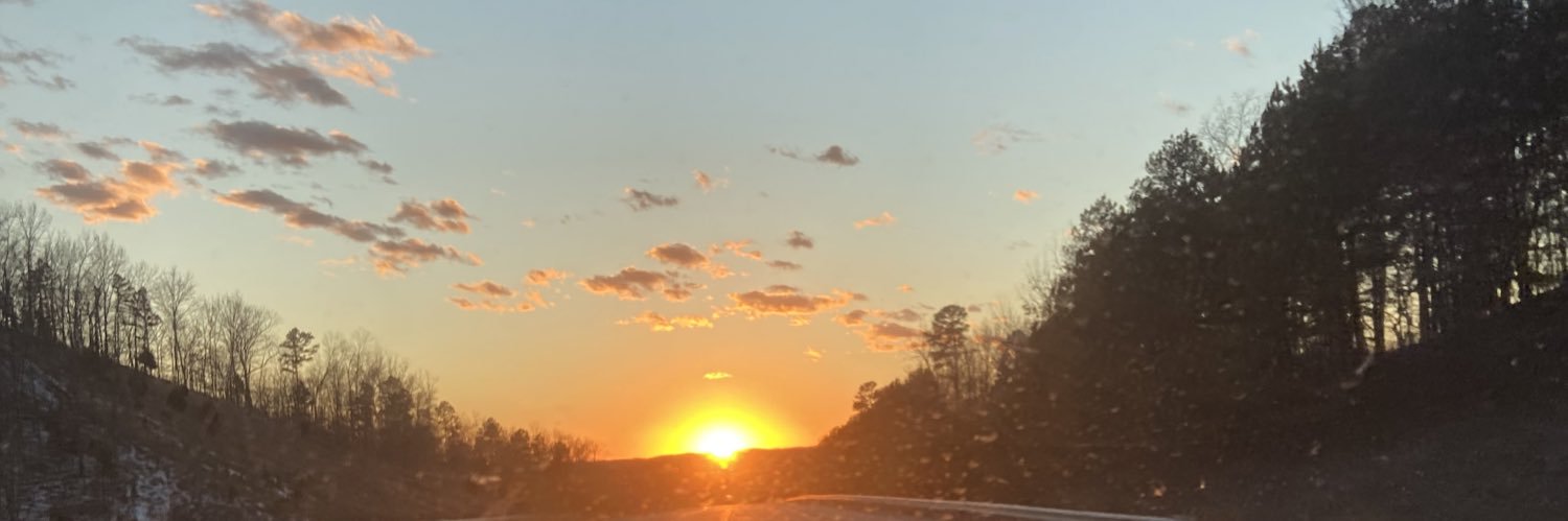 emthepanhead's profile banner image