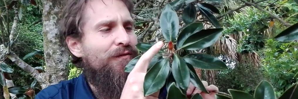 Eco Instant - Solver of Problems banner