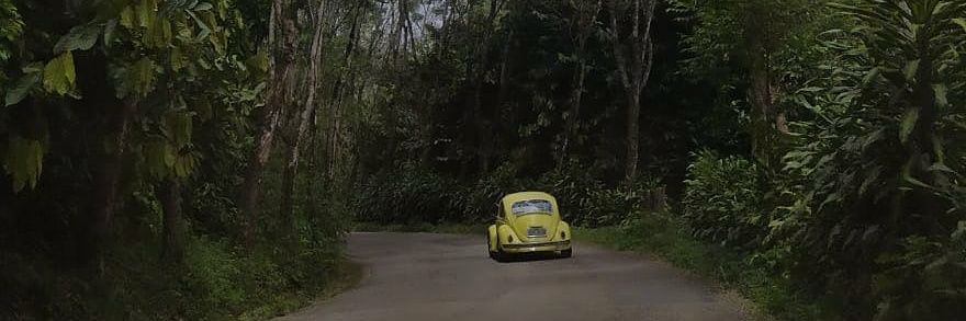 Matheus_o99's profile banner image