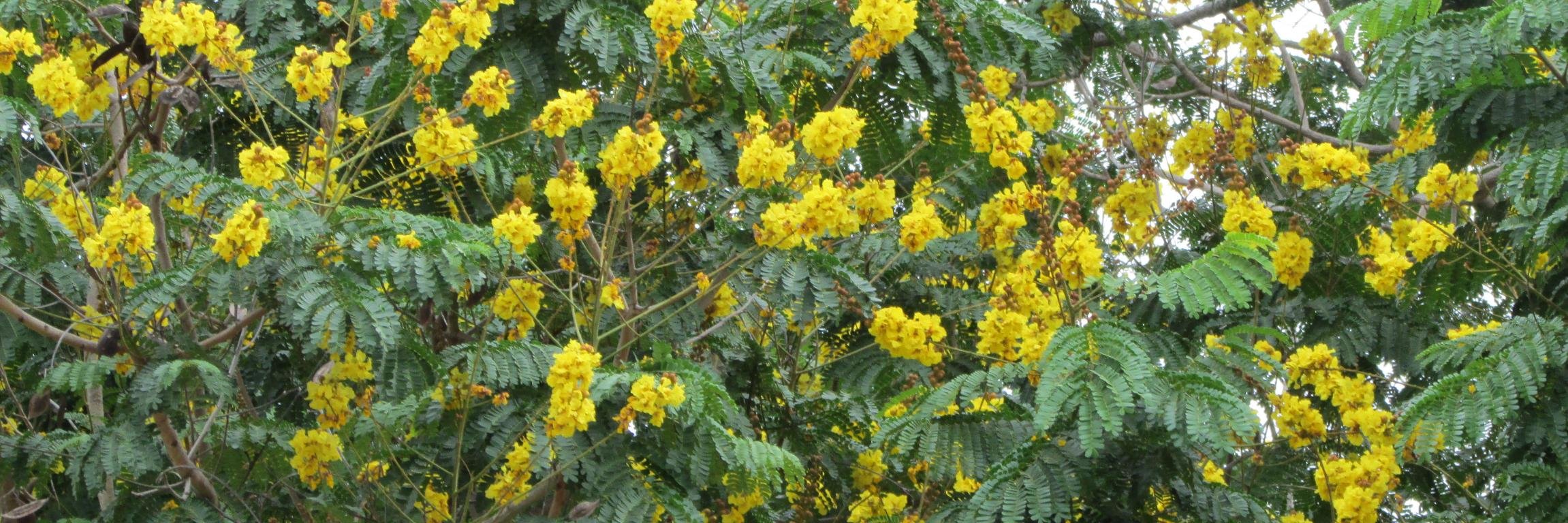 ShankarShanmug's profile banner image