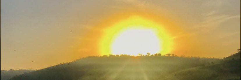 Toyourbrains's profile banner image