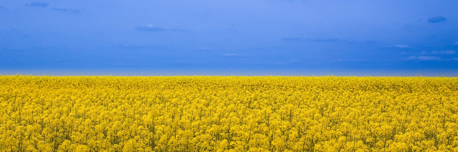 Michael Hills banner