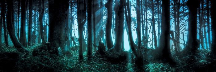 gravezzy's profile banner image